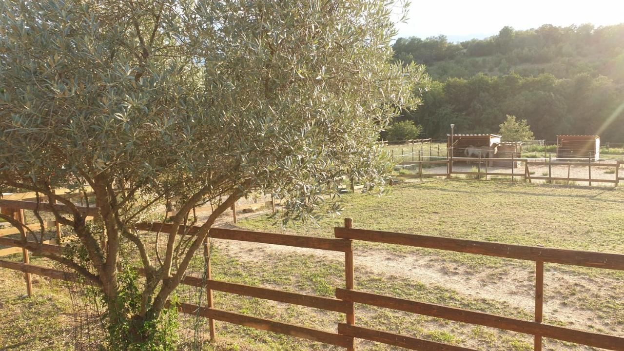 Chambre D'Hotes Le Petit Ranch Los Masos Bagian luar foto