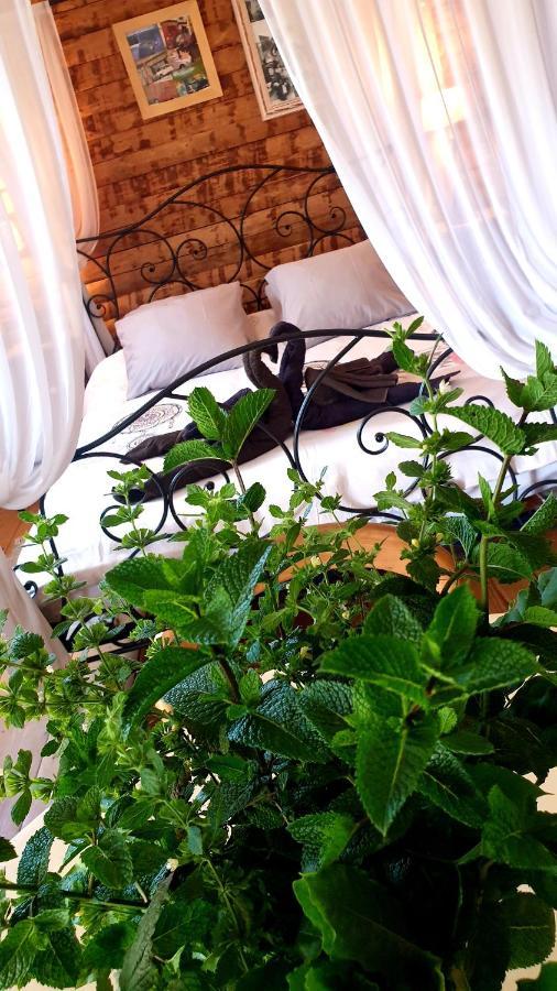 Chambre D'Hotes Le Petit Ranch Los Masos Bagian luar foto