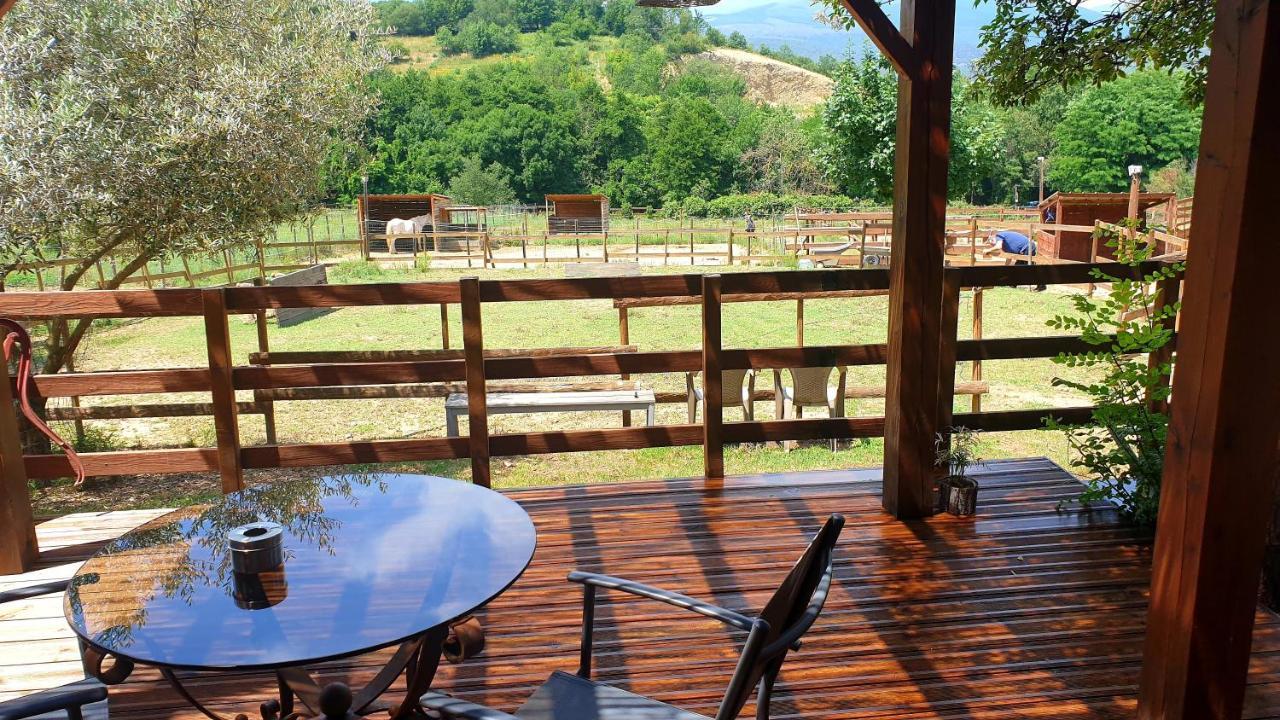 Chambre D'Hotes Le Petit Ranch Los Masos Bagian luar foto