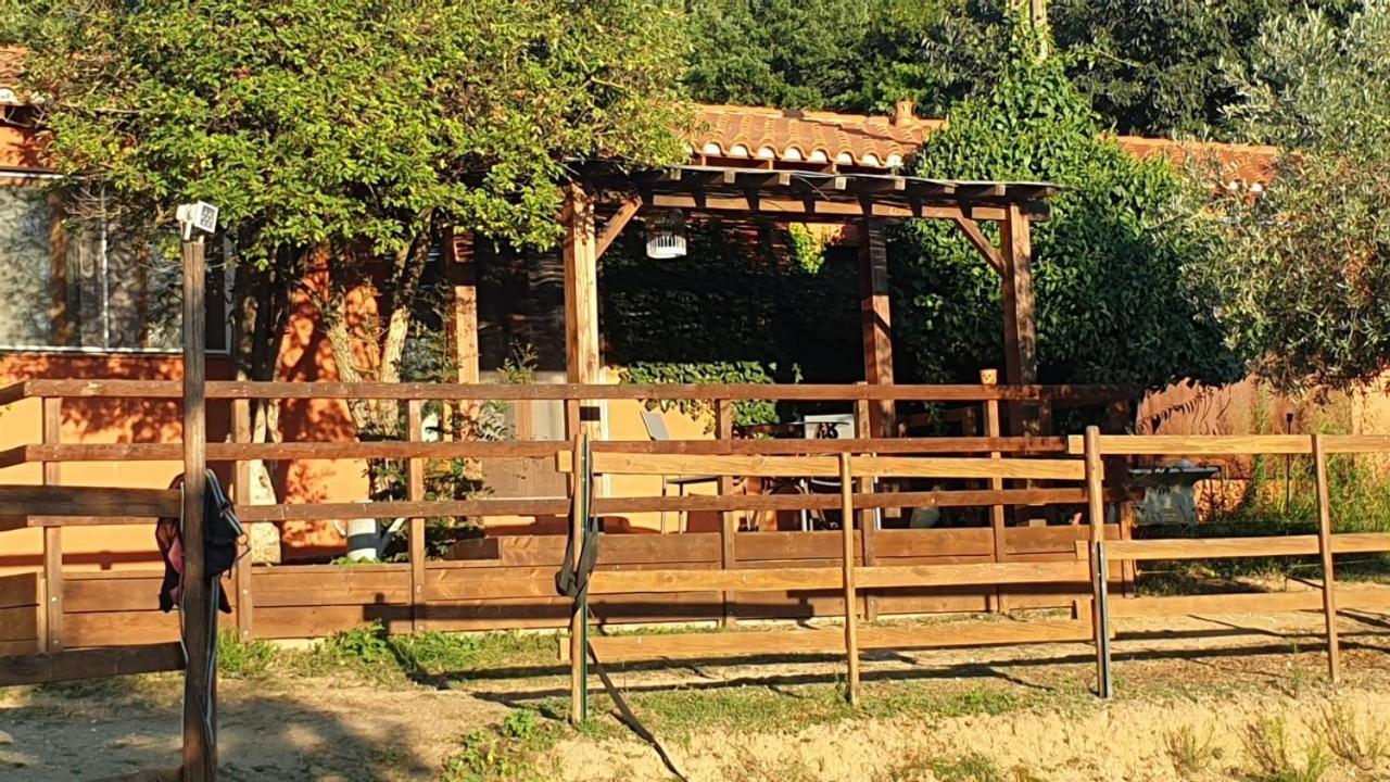 Chambre D'Hotes Le Petit Ranch Los Masos Bagian luar foto