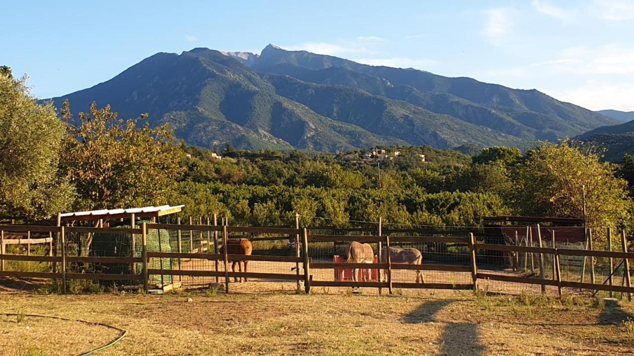 Chambre D'Hotes Le Petit Ranch Los Masos Bagian luar foto