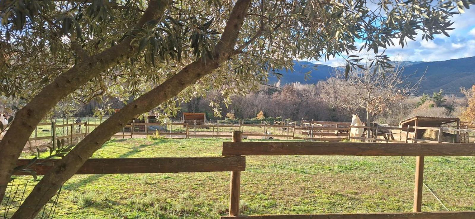 Chambre D'Hotes Le Petit Ranch Los Masos Bagian luar foto